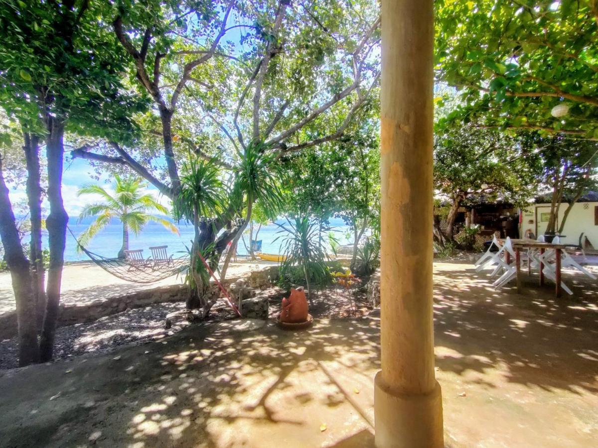 Moalboal T Breeze Coastal Resort Eksteriør bilde
