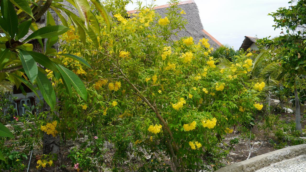Moalboal T Breeze Coastal Resort Eksteriør bilde